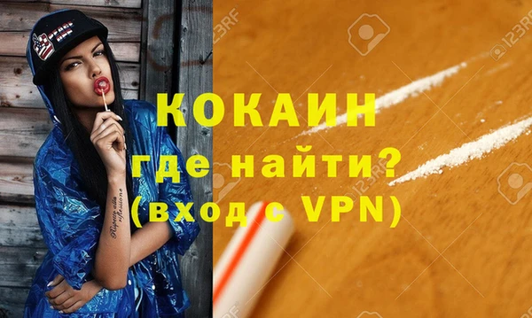 стаф Ельня