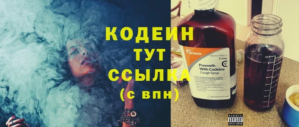 скорость Елизово