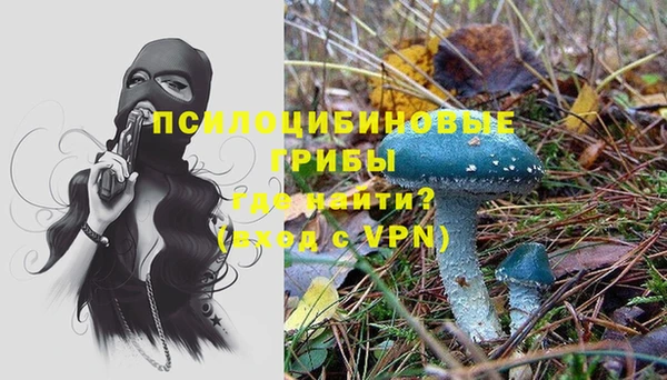 PSILOCYBIN Алексин