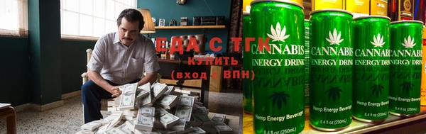 сатива Каменка