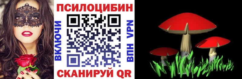 mega как войти  Лебедянь  Псилоцибиновые грибы мицелий 